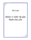  Luận văn về nhóm vi sinh vật gây bệnh chủ yếu