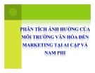 Phân tích ảnh hưởng của môi trường văn hóa  đến marketing  tại Ai Cập và nam Phi