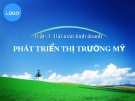 Bài toán kinh doanh - Phát triển thị trường mỹ