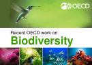 Recent OECD work on Biodiversity