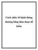 Cách chữa 10 bệnh thông thường bằng thảo dược dễ kiếm