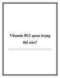 Vitamin B12 quan trọng thế nào