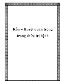 Rốn – Huyệt quan trọng trong chữa trị bệnh