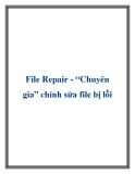 File Repair Chuyên gia chỉnh sửa file bị lỗi