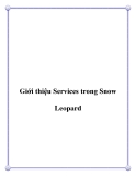 Giới thiệu Services trong Snow Leopard