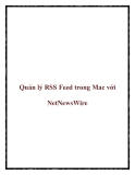 Quản lý RSS Feed trong Mac với NetNewsWire