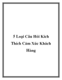 5 Loại Câu Hỏi Kích Thích Cảm Xúc Khách Hàng