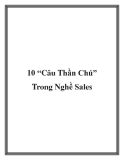 10 Câu Thần Chú Trong Nghề Sales