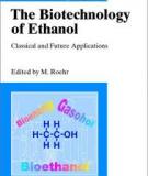 The Biotechnology of Ethanol