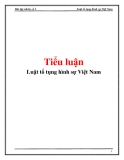 Tiểu luận: Luật tố tụng hình sự Việt Nam