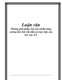 Luận văn: Những giải pháp chủ yếu nhằm tăng cường thu hút vốn đầu tư trực tiếp của EU vào VN