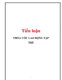 Tiểu luận: Thỏa ước lao động tập thể