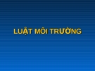  Định nghĩa luật môi trường