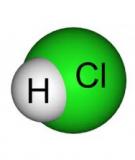 Axit clohidric có vai trò như thế nào đối với cơ thể ?