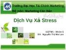 Chiến lược sản phẩm cho dịch vụ Xả Stress