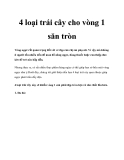 4 loại trái cây cho vòng 1 săn tròn