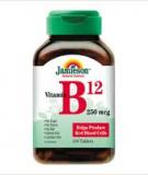 Những điều cần biết về Vitamin B12