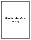 Kiến thức cơ bản về u xơ tử cung