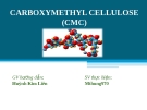 CARBOXYMETHYL CELLULOSE (CMC)