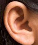 Tiếng ồn: Thủ phạm ảnh hưởng tới sức khỏe