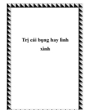 Trị cái bụng hay lình xình