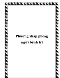 Phương pháp phòng ngừa bệnh trĩ