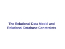 The Relational Data Model and Relational Database Constraints