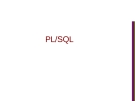 PL/SQL