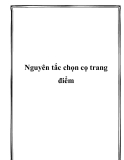 Nguyên tắc chọn cọ trang điểm