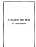 Các nguyên nhân khiến da lão hóa sớm