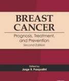 Breast Cancer: Prognosis, Treatment, and Prevention Second Edition