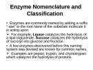 Enzyme Nomenclature and Classification