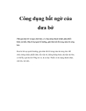 Công dụng bất ngờ của dưa bở