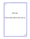 Tiểu Luận: Xử lý nước thải từ mủ cao su