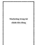 Marketing trong tài chính tiêu dùng