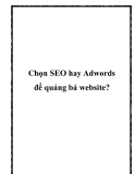 Chọn SEO hay Adwords để quảng bá website?