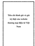 Tiêu chí đánh giá và giá trị thật của website thương mại điện tử Việt Nam 