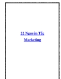 22 Nguyên Tắc Marketing