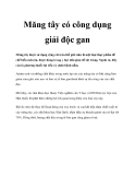 Măng tây có công dụng giải độc gan