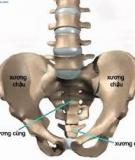 Cần phát hiện và xử trí kịp thời khi đau khung chậu mạn tính ở phụ nữ