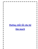 Dưỡng chất tốt cho hệ tim mạch