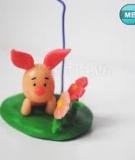 Piglet cute lưu giữ những “khoảnh khắc yêu thương”