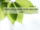 Chức năng (phái sinh) của Văn hóa