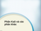 Phân Kali và các phân khác