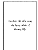 Quy luật bất biến trong xây dựng và bảo vệ thương hiệu