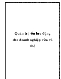 Quản trị vốn lưu động cho doanh nghiệp vừa và nhỏ