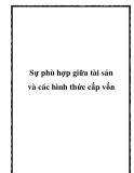 Sự phù hợp giữa tài sản và các hình thức cấp vốn