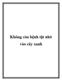 Không còn bệnh tật nhờ vào cây xanh