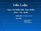 Tiểu Luận: Nguy Cơ Nhiễm Độc Thực Phẩm (Rau – Củ - Quả)