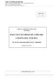 BÁO CÁO TÀI CHÍNH GIỮA NIÊN ĐỘ 6 THÁNG ĐẦU NĂM 2012